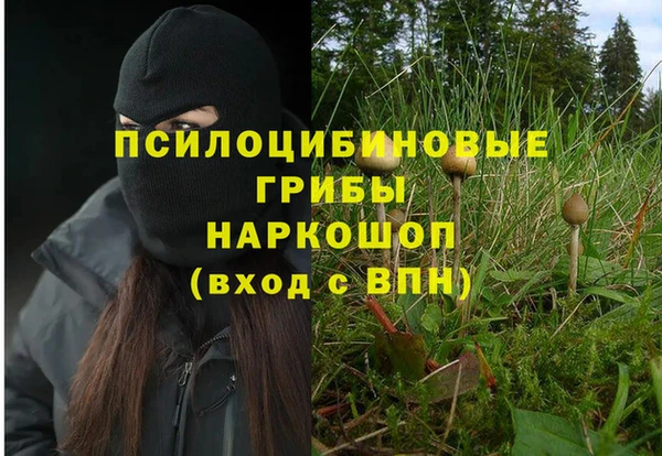 СК Арсеньев